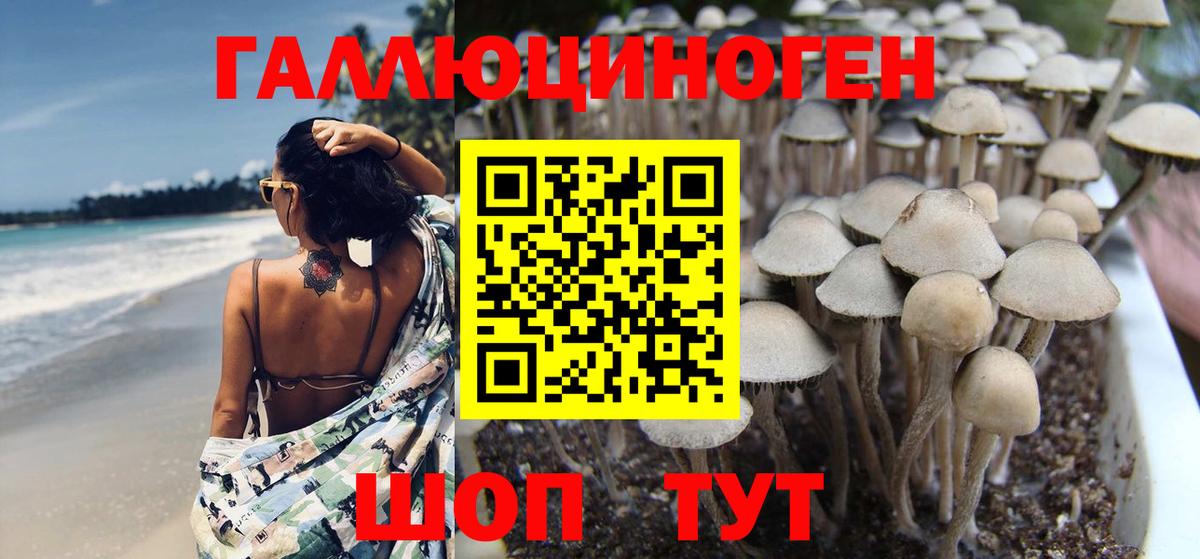Борисоглебск  Галлюциногенные грибы GOLDEN TEACHER  Вход с VPN 