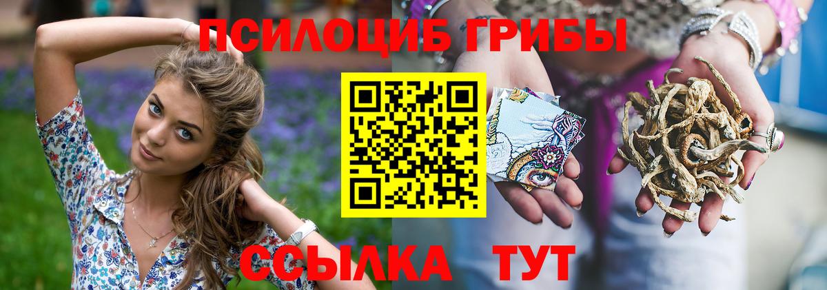 Галлюциногенные грибы Magic Shrooms Борисоглебск